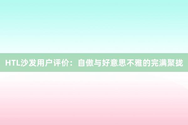 HTL沙发用户评价：自傲与好意思不雅的完满聚拢