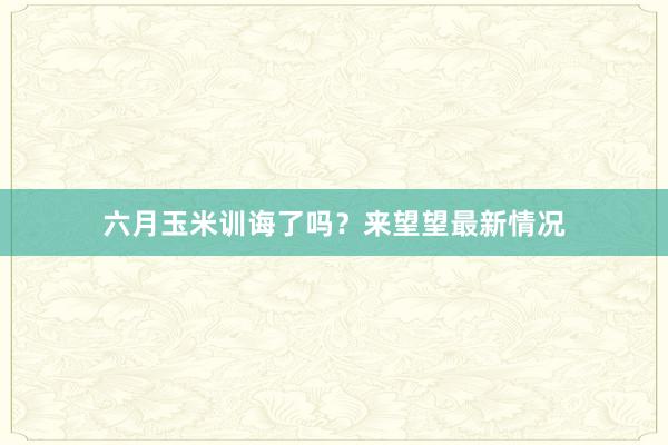 六月玉米训诲了吗？来望望最新情况